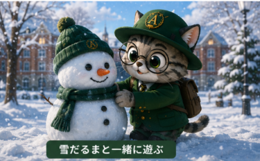 年末年始は“整える”が勝ち：完全オフ1日＋軽回し2日でリセット