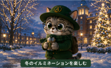 模試の結果に振り回されない勉強法